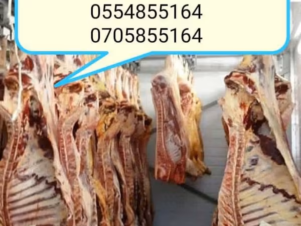 Toro, Ganado vacuno