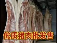СВИНИНА ОПТОМ В ПОЛУТУШАХ - Прямая поставка свежей продукции. - — फ़ोटो 2