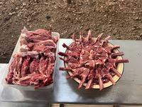Carnero, Rhon sheep — foto 6