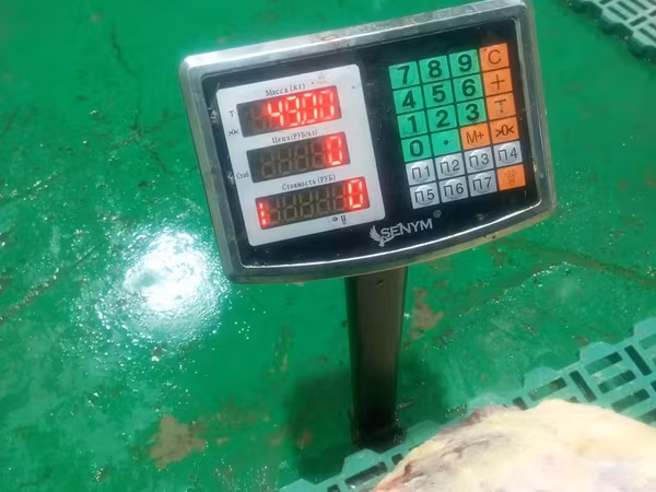 Сатыка жылкы эти уй эти устакан бышырып алып барып беруу услуги выезд