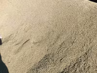 Ячмень (зерно) адрес село СУУСАМЫР - Кормовой ячмень, цельное зерно — الصورة 1