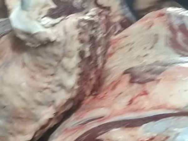 Туша