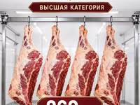 Туша — फ़ोटो 1