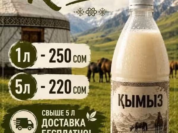 Кымыз — свежий и вкусный, натуральный продукт с пользой для здоровья