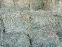 Vind baloți de lucerna 1 cosire-50lei/balot, a2-cosire 60lei balot.Sunt frunzoși și păstrați foarte — 照片 2