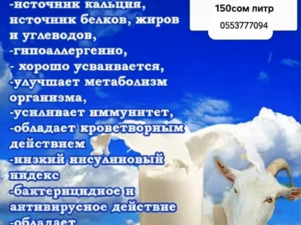 Предлагается к продаже свежее козье молоко. Продукт характеризуется