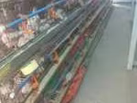 Chickens — Foto 3