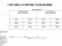 Эчки теке, Альпийская эчки — сүрөт 4