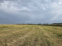 🌾 Сено после семенника 🌾 Продам сено, после обмолота. кастра Без — الصورة 1