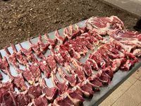 Carnero, Rhon sheep — foto 7
