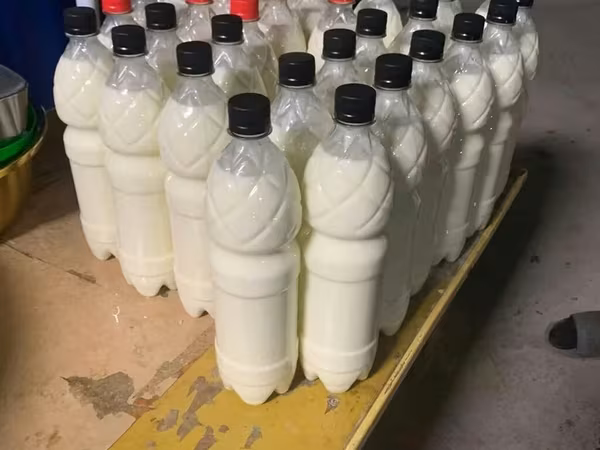 Кымыз из Кочкорского района - Натуральный саамал кымыз с высокогорных