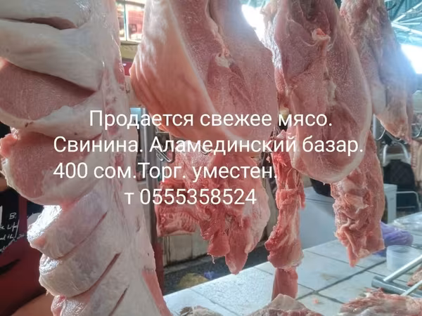 Продается свежее мясо Свинина на Аламединском базаре Торг уместен