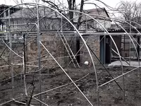 Sere mici de gradina — 3-сурет
