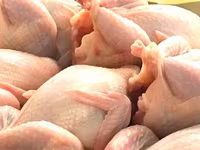Prepelite: carne, oua, taietei, afumate, marinate, congelate, maioneza, pate, carne inabusita etc.. — फ़ोटो 2