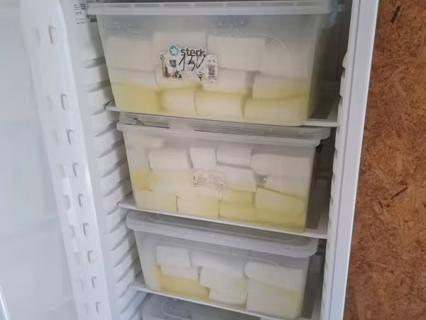 Брынза де оае