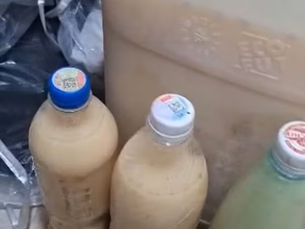 Таза 200 % гарантия Алайкуу кымызы