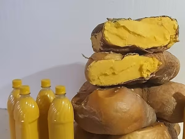 Сары май (топлёное масло) суйлошобуз доставка кылабыз любой регионго