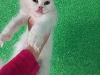 Уй, Кыргызыстан — сүрөт 5