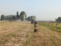Пресстелген Беде Люцерна сатылат подпокровный арпасын чопко чааб — फ़ोटो 2