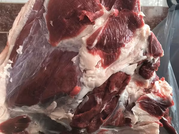 Мясо ляшки, филе ребра, жир, всё есть 
Кому надо на заказ