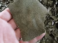Жмых Рапсовый — 照片 1