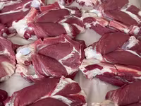 मेढ़ा, भेड़ — फ़ोटो 6