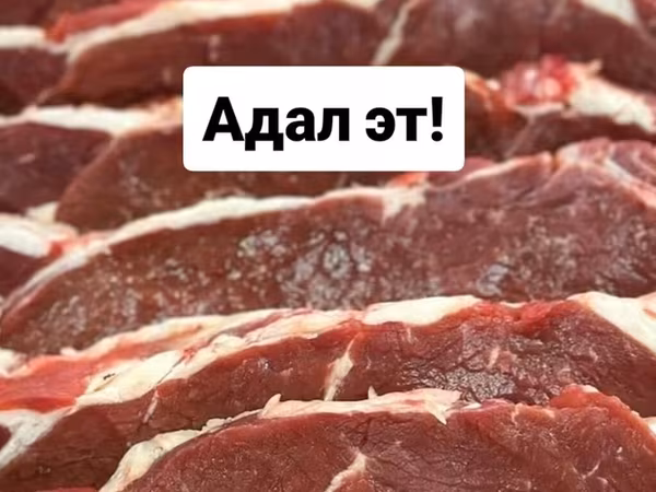 Дуба кабыл болуу үчүн сөзсүз алкымдан адал тамак өтүү керек! Биз
