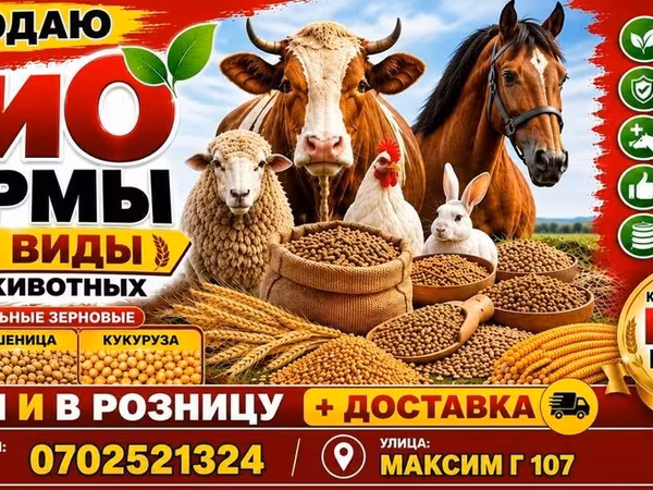 Био-корма для животных — все виды - Натуральные зерновые: ячмень