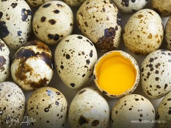 Chickens — Kirgisistan