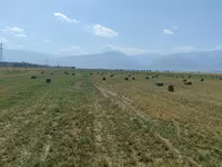 Сено в тюках (люцерна) - Кормовая люцерна, спрессованная в — الصورة 1